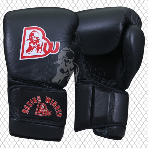 Training / Sparring Gloves