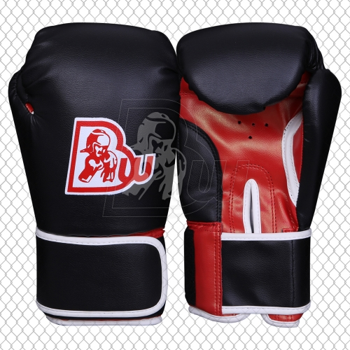 Training / Sparring Gloves