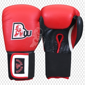 Training / Sparring Gloves