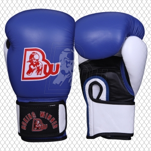 Training / Sparring Gloves