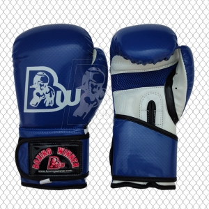 Training / Sparring Gloves