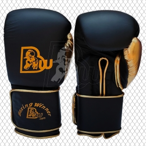 Training / Sparring Gloves-BW-2290
