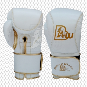 Training / Sparring Gloves-BW-2290W
