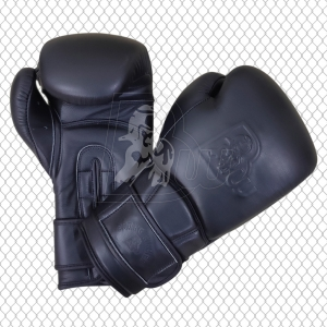Training / Sparring Gloves--BW-2294