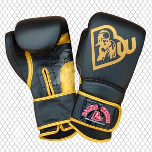 Training / Sparring Gloves-BW-2297