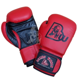 Training / Sparring Gloves-BW-2298