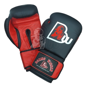 Training / Sparring Gloves-BW-2300